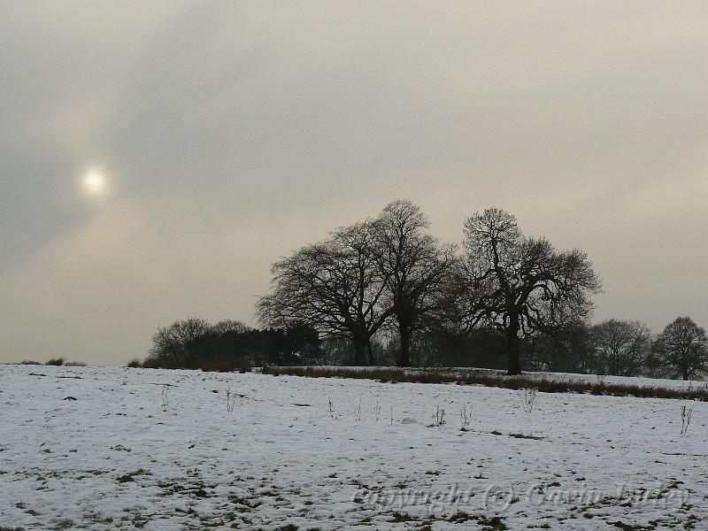 Winter, Hampstead Heath P1070563.JPG